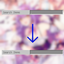 Passive SearchBar avatar