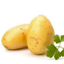 Opotato avatar