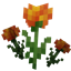 Marigold Flower! avatar