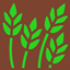 Harvest avatar