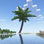 Giant Palm Tree avatar