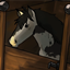 Stable Structures avatar
