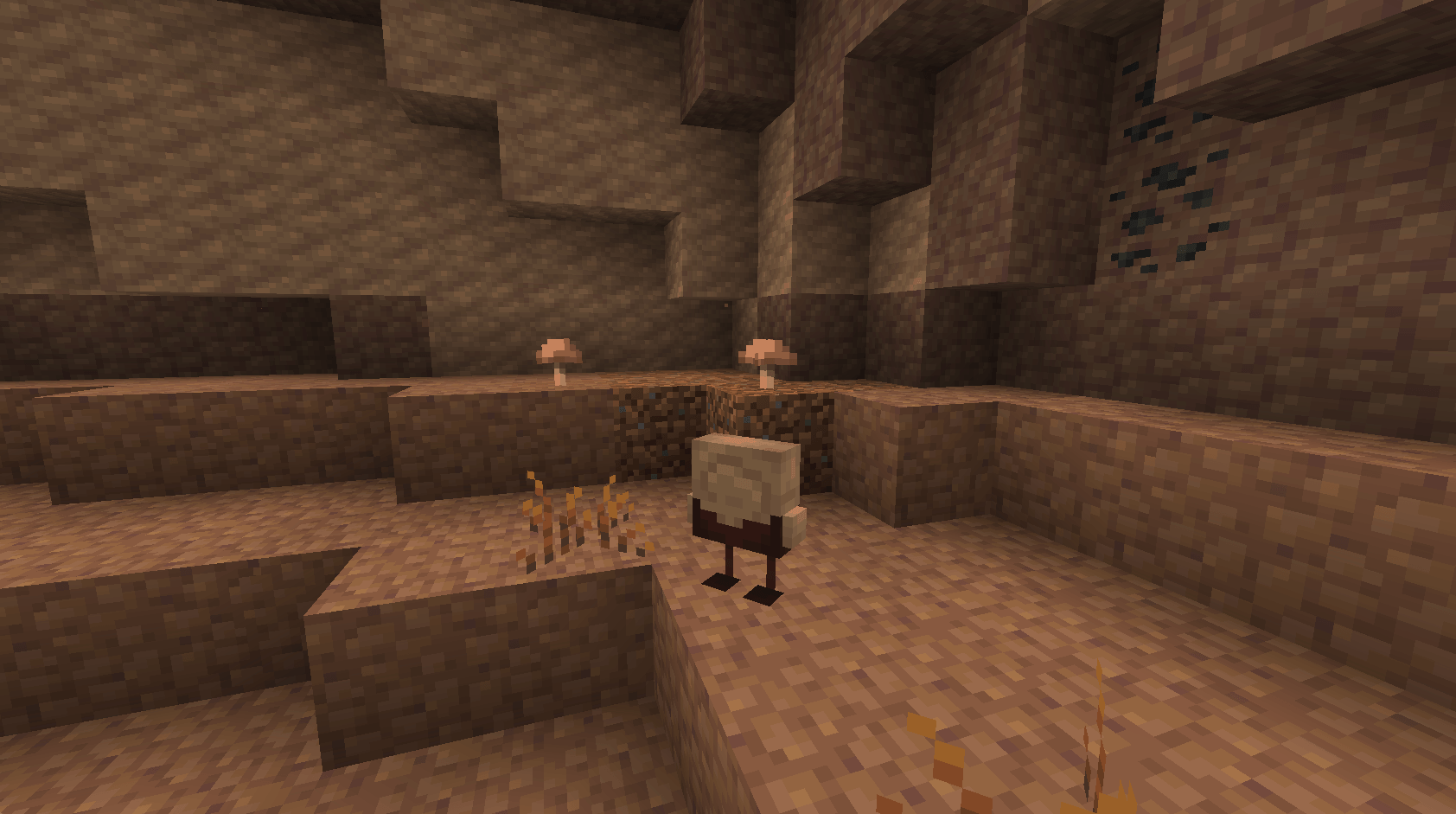 F. Полость F. Полость