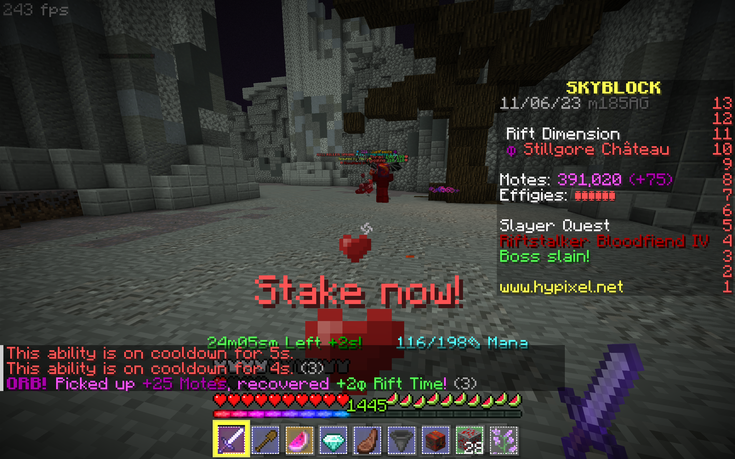 Помощник охотника на вампиров Помощник охотника на вампиров