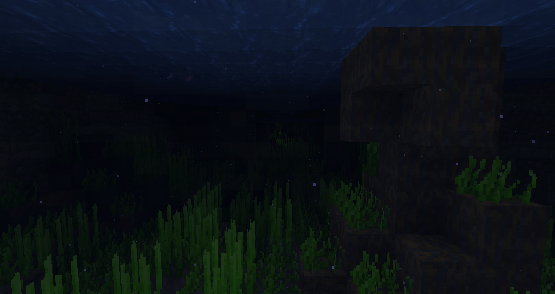 1000043295.png 1000043295.png