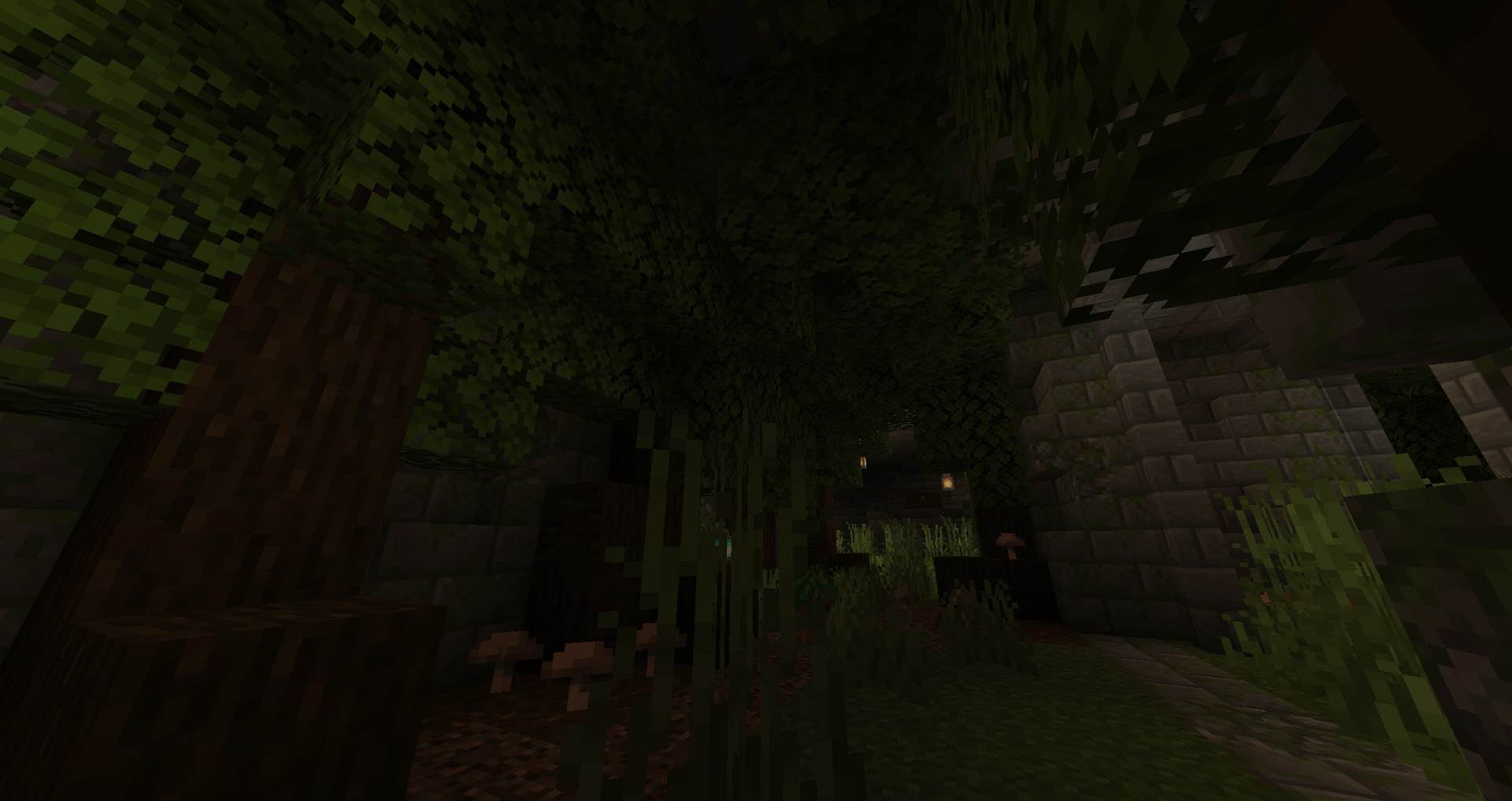 1000043291.png 1000043291.png