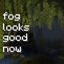 Fog Looks Good Now avatar