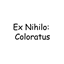 Ex Nihilo: Coloratus avatar
