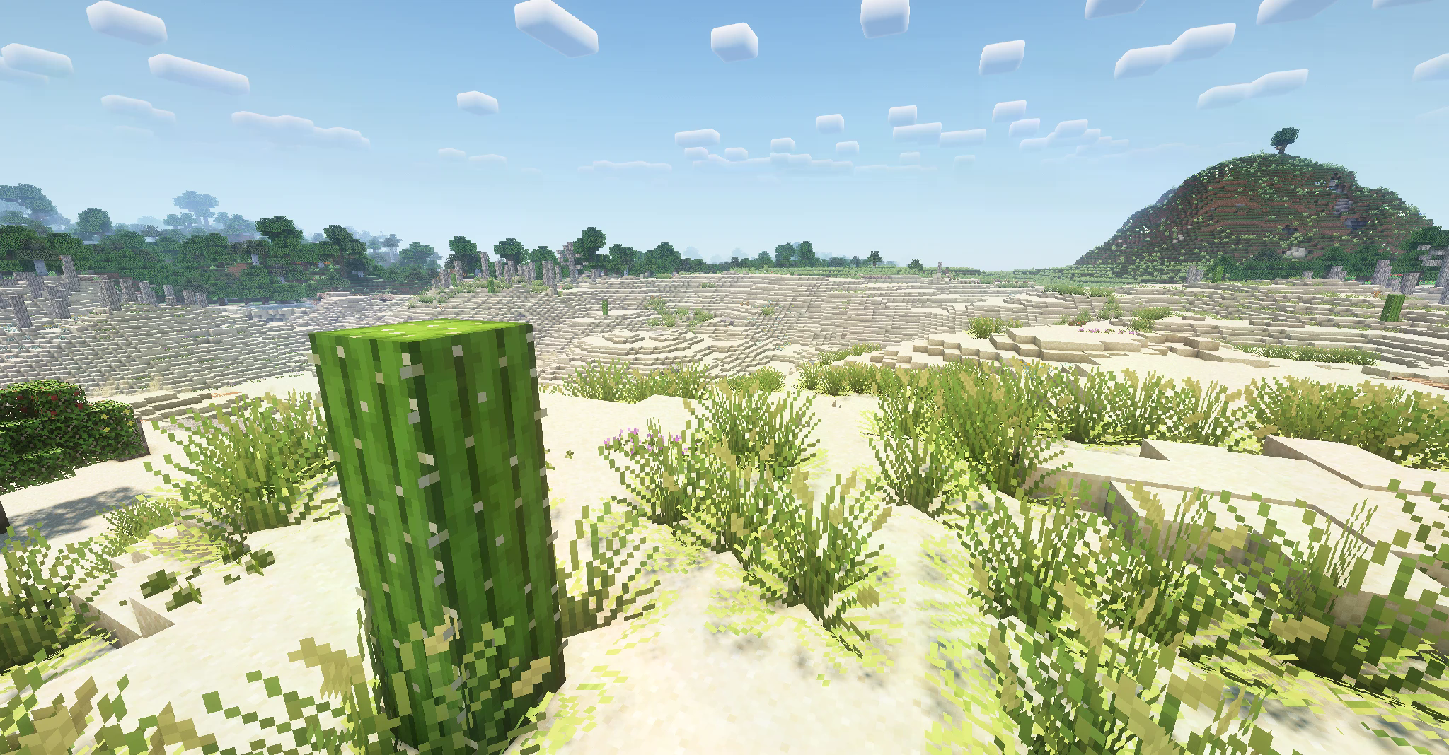 Шейдер: переосмысление вокселей Шейдер: переосмысление вокселей