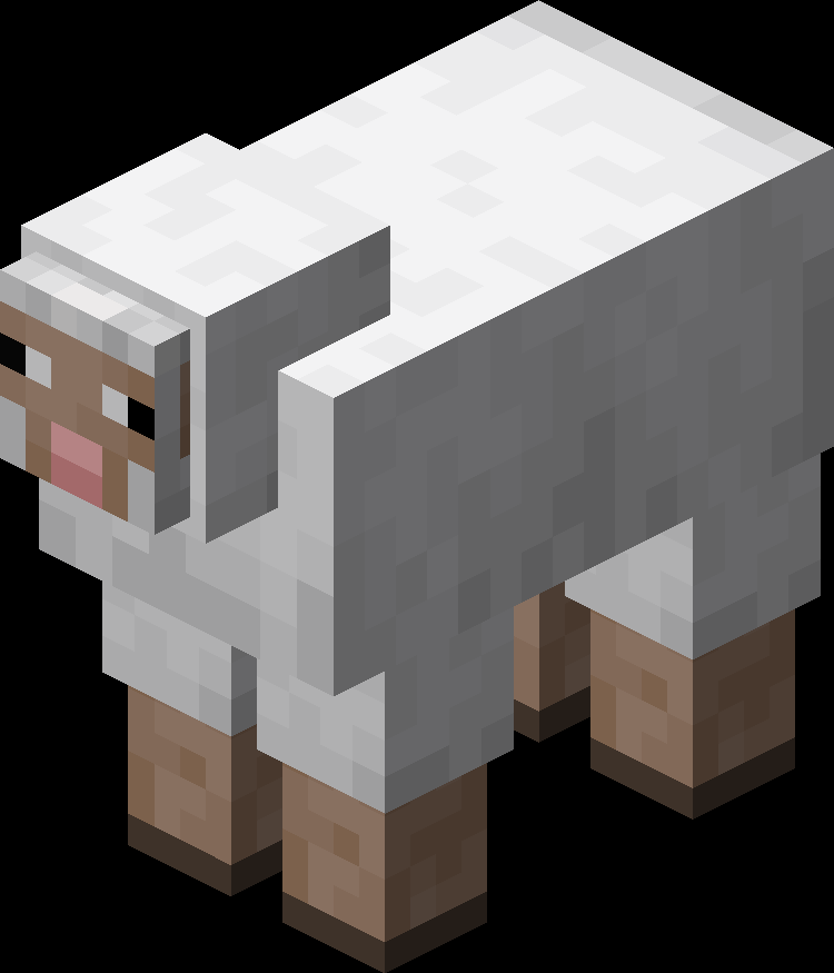 sheep sheep