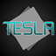 TESLA avatar