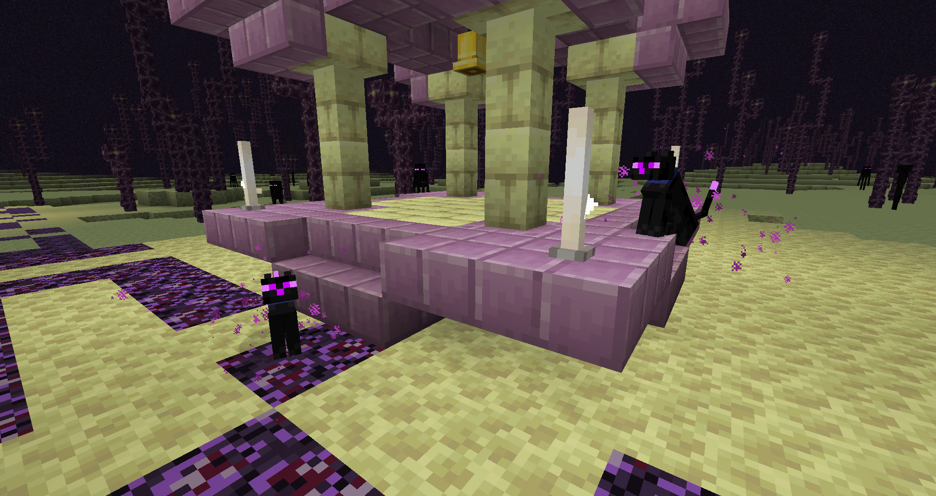 Конец кошек Конец кошек