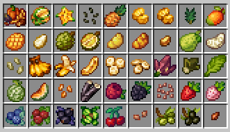 Свежие фрукты Свежие фрукты