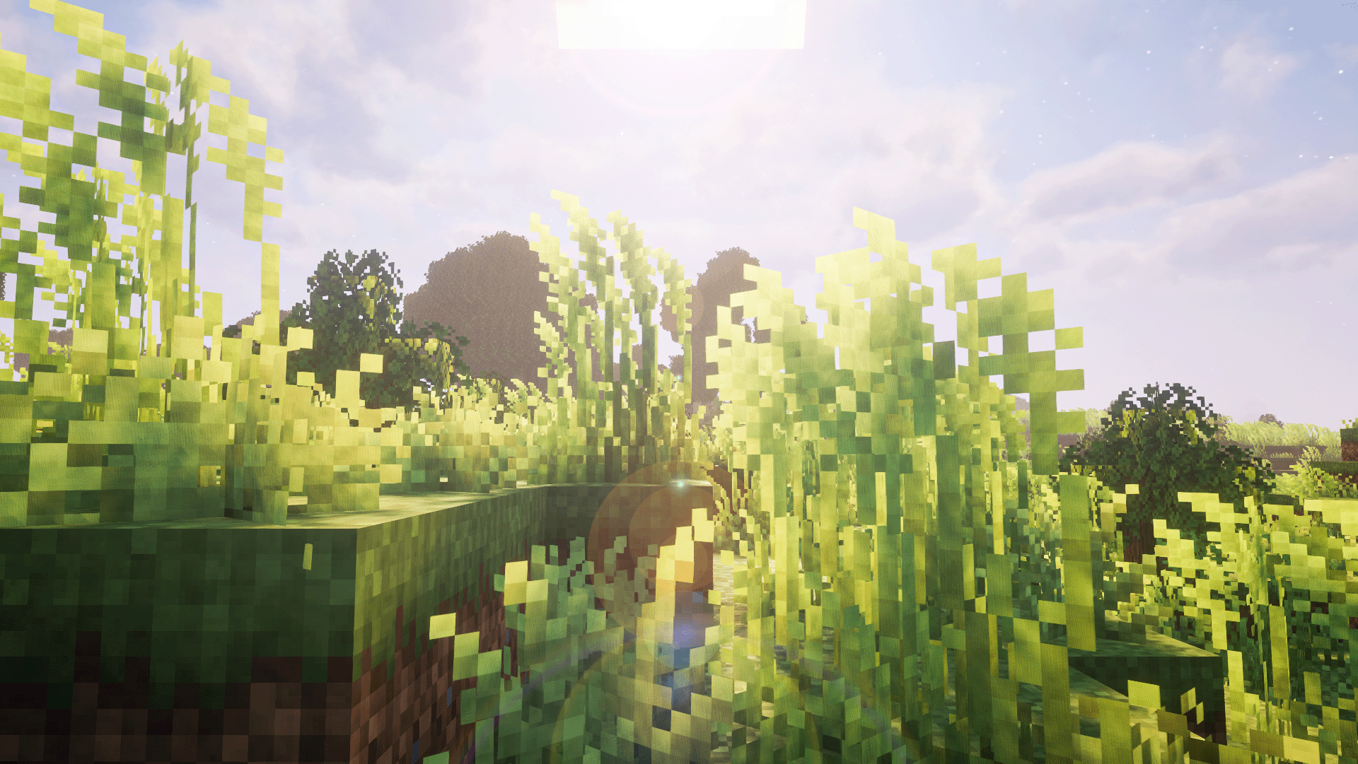 Minisheep можно приручить с помощью подстриженной обычной травы! Не высокой травы! Обычной травы! Minisheep можно приручить с помощью подстриженной обычной травы! Не высокой травы! Обычной травы!