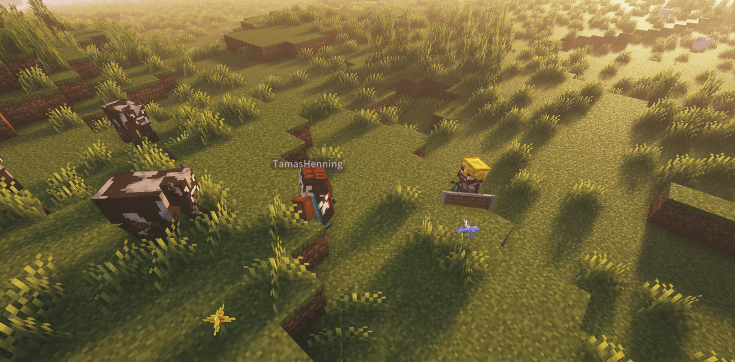 Игрок НПС 1.png Игрок НПС 1.png