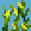 Simple Corn avatar