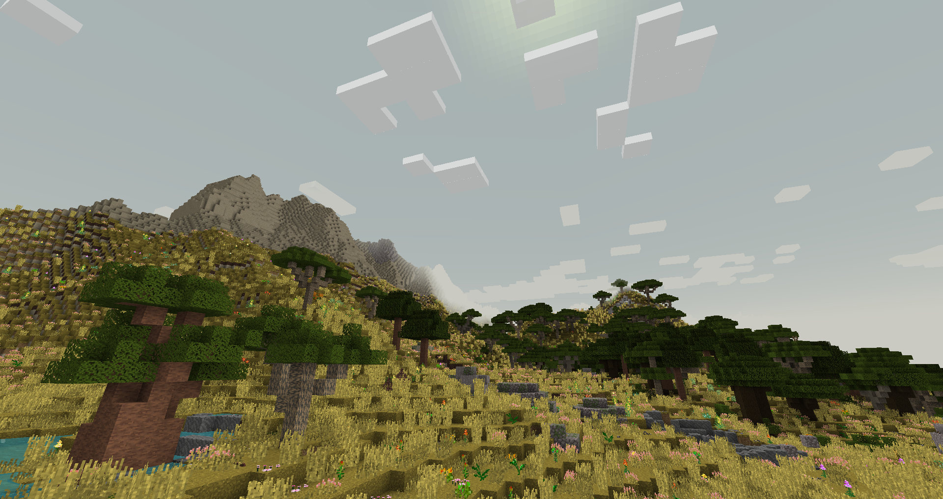 No Shaders Саванна No Shaders Саванна