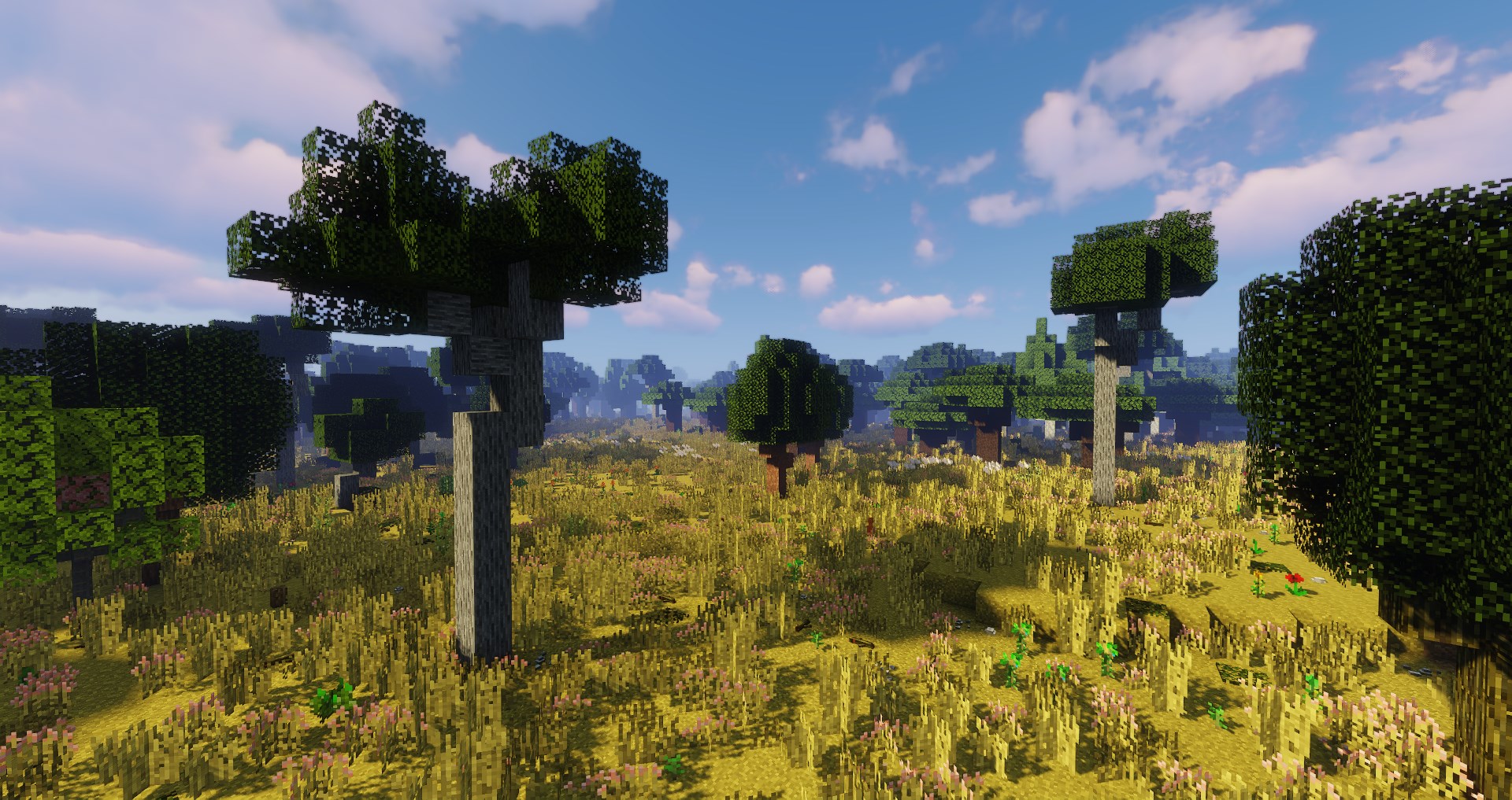 Саванна каменной сосны Саванна каменной сосны