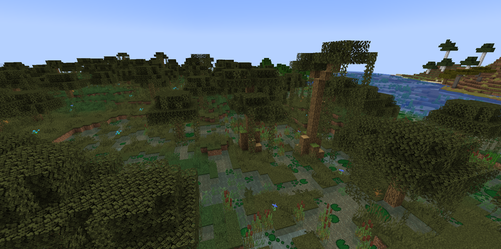 Более болотистое болото Более болотистое болото