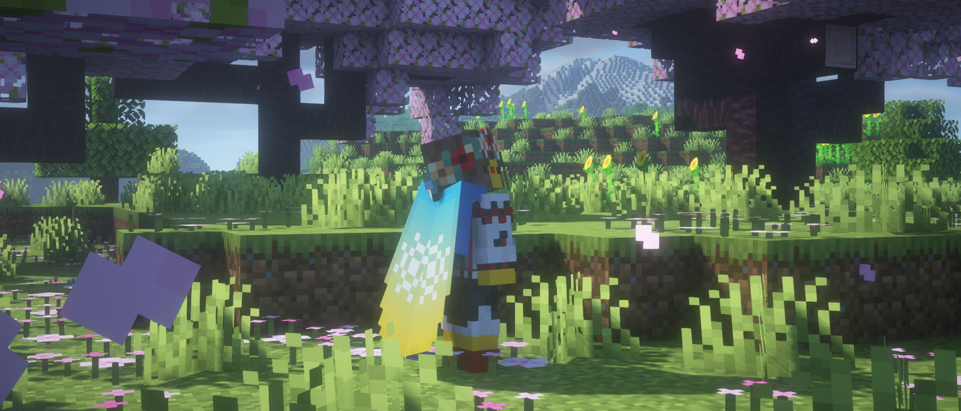 Элитра с узорами от баннеров Элитра с узорами от баннеров