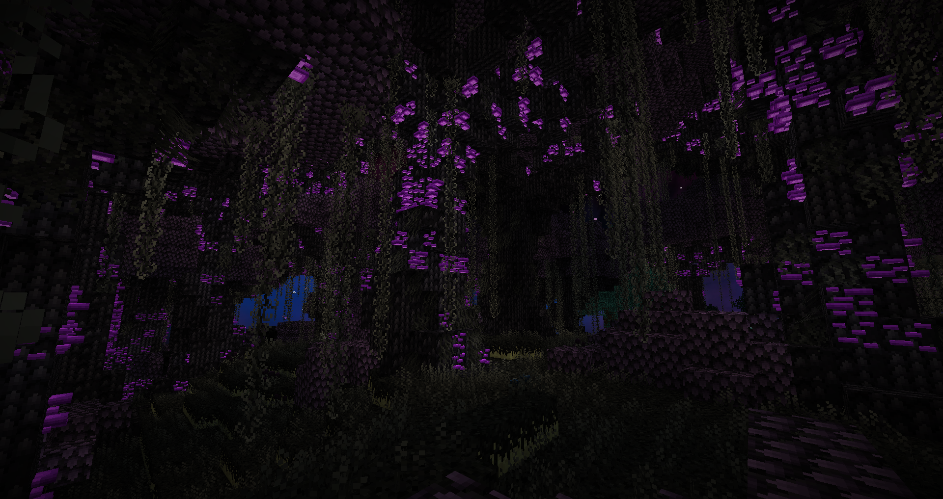 Теневой лес Теневой лес