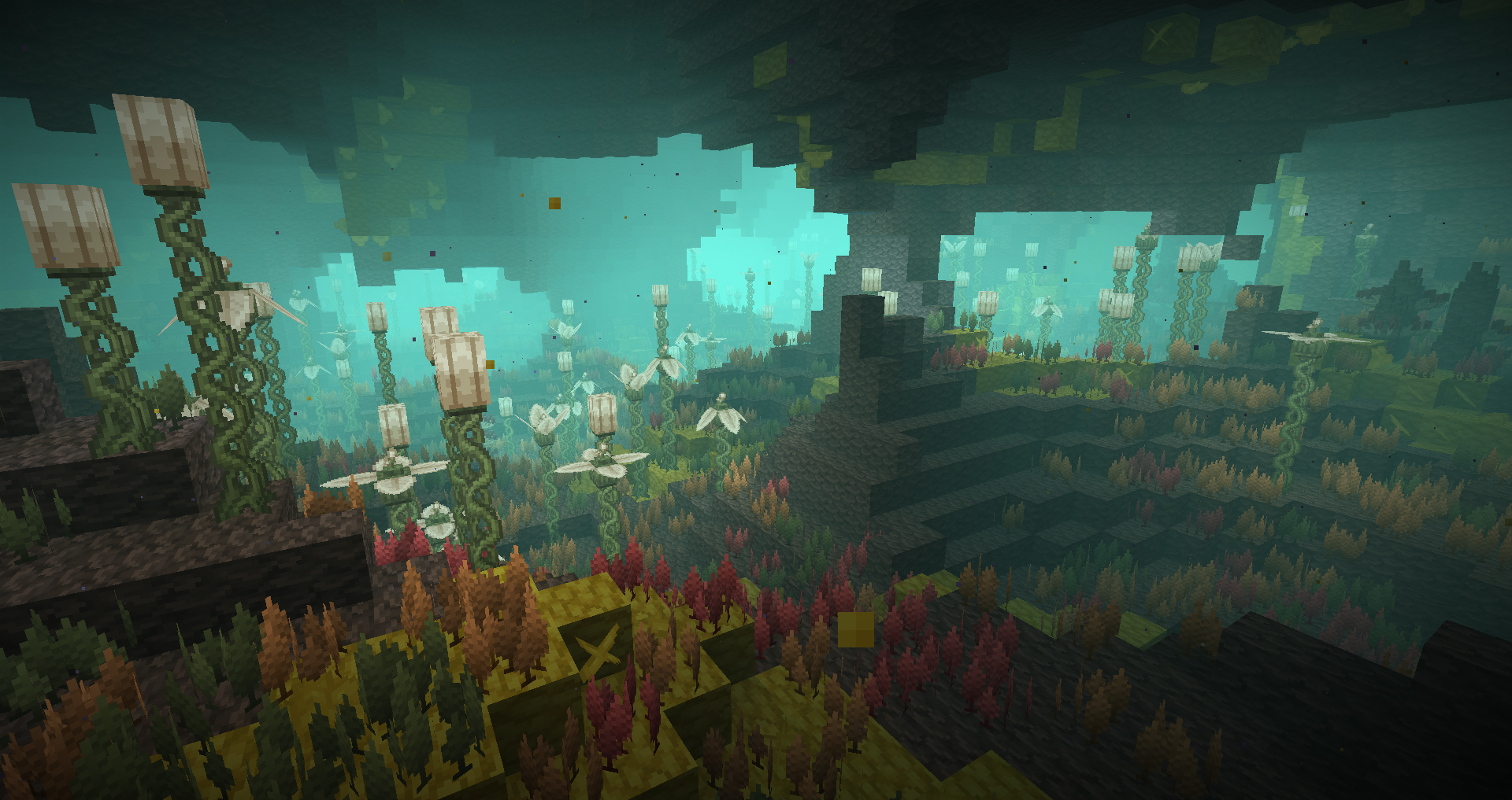 Подводный сад Подводный сад