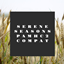 Serene Seasons - Pam's HarvestCraft 2: Crops Compat avatar