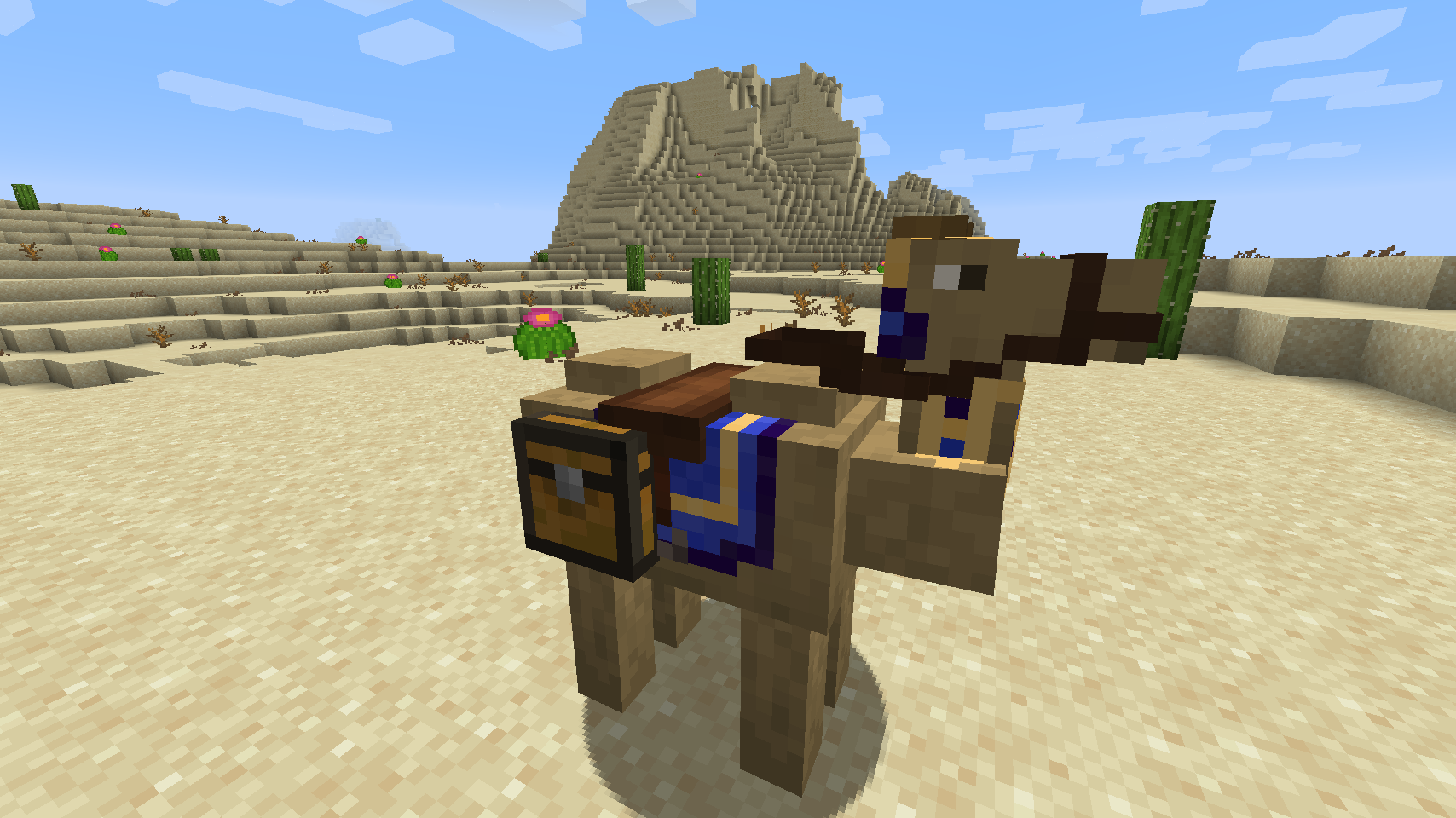 1.16.3-Альфа 2.3.0+ 1.16.3-Альфа 2.3.0+