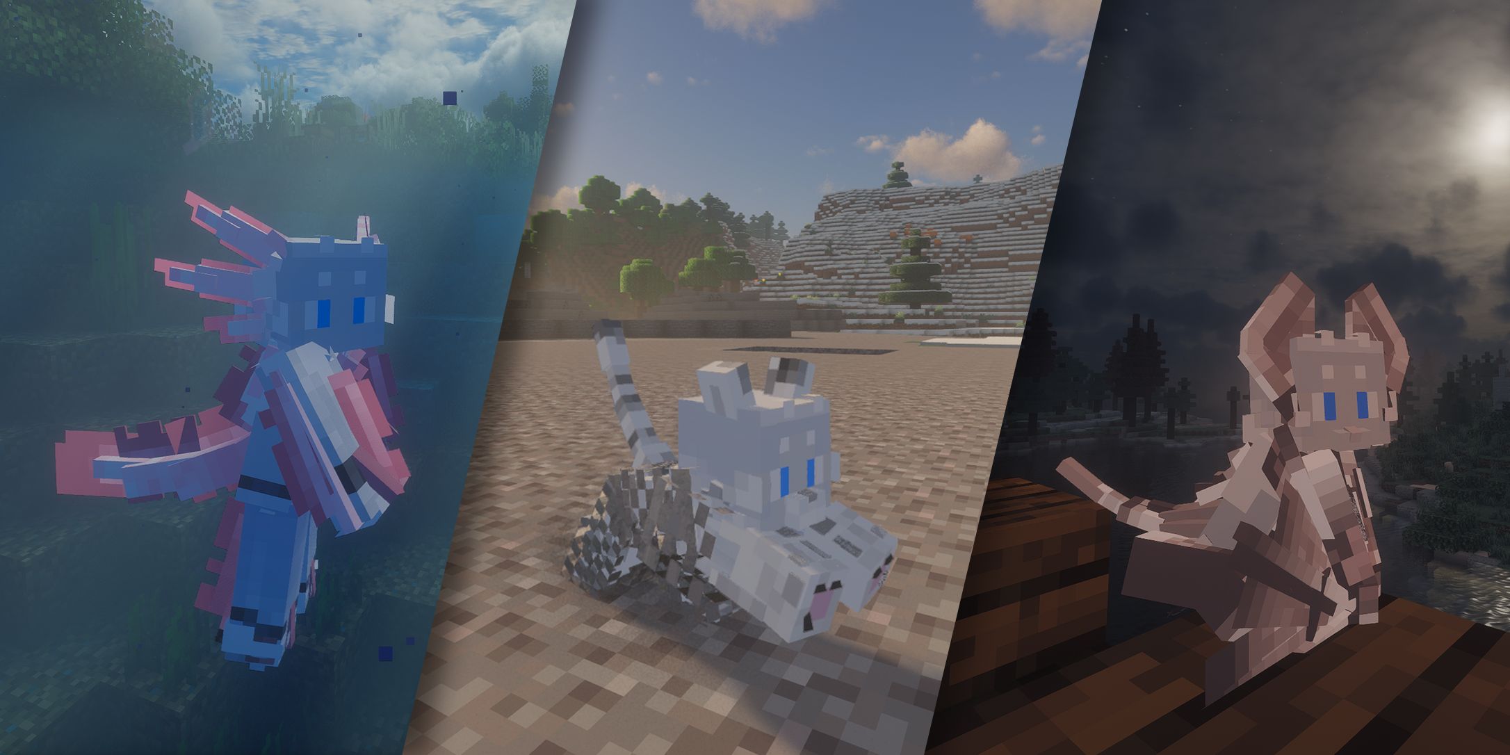 Формы Формы