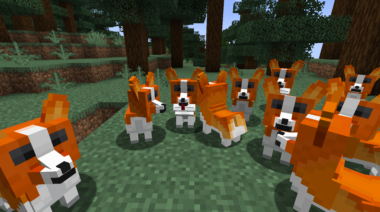 Вельш-корги будут поддерживать вас и других спутников и игроков своими текущими и дополнительными эффектами. Вельш-корги будут поддерживать вас и других спутников и игроков своими текущими и дополнительными эффектами.