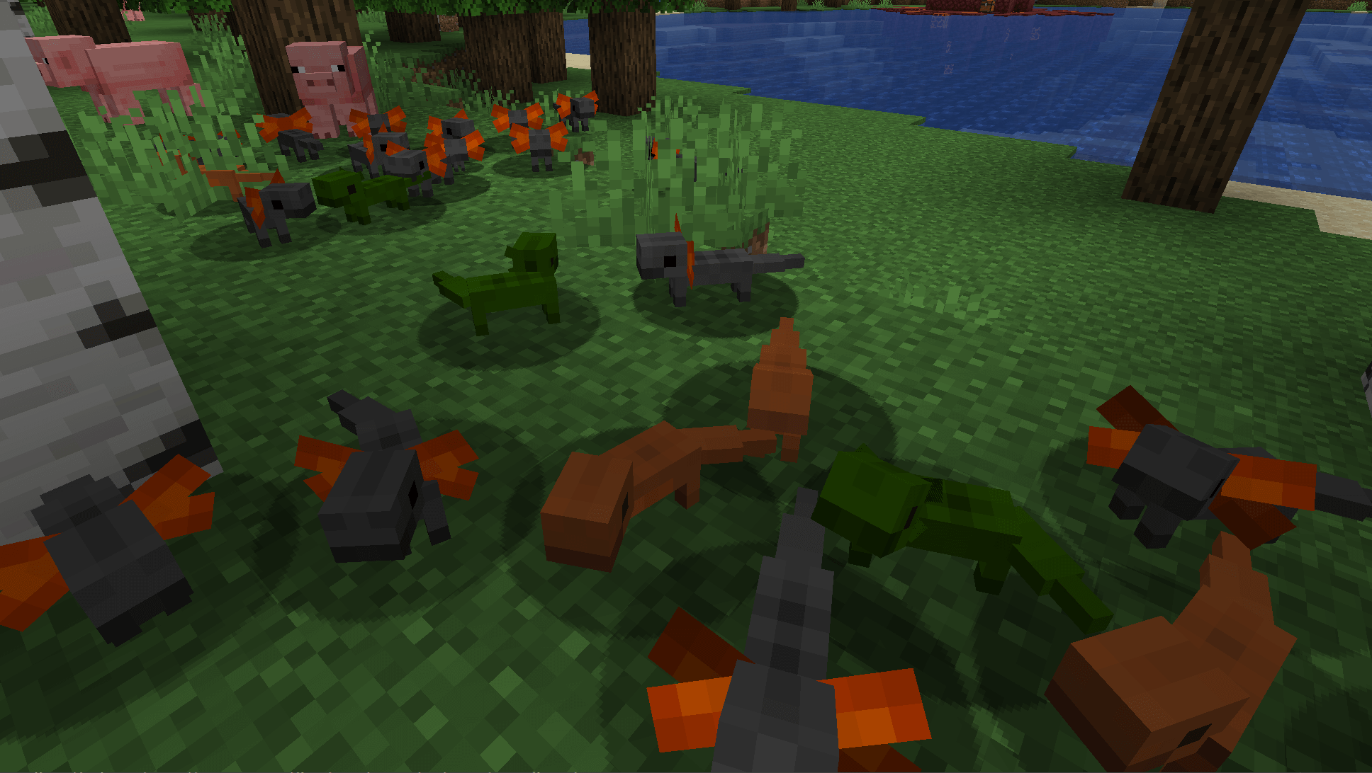 Ящерица будет сопровождать вас в течение всего путешествия. Ящерица будет сопровождать вас в течение всего путешествия.