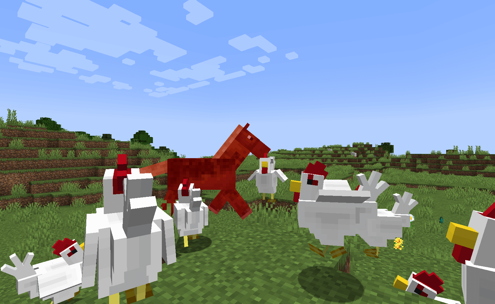 Петух не выглядит опасным, но он пожертвует своей жизнью, чтобы защитить вас. Петух не выглядит опасным, но он пожертвует своей жизнью, чтобы защитить вас.