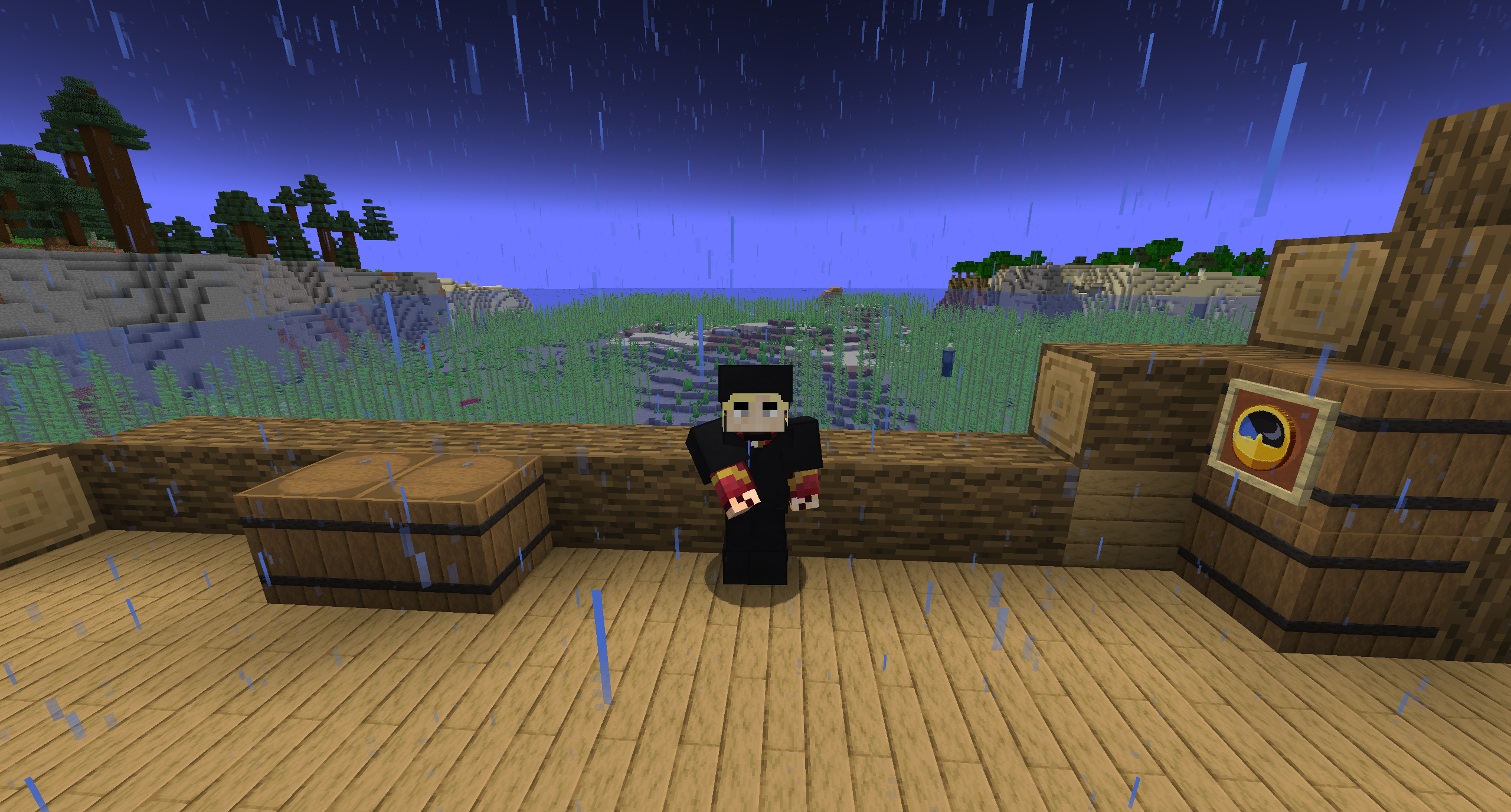 Пират в своей естественной среде обитания Пират в своей естественной среде обитания