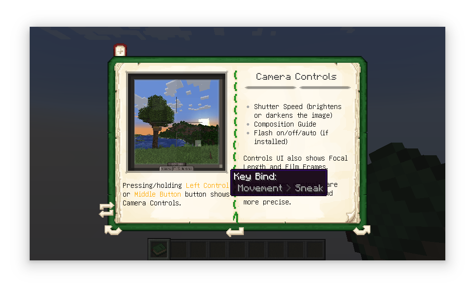 Страница управления камерой Страница управления камерой