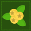 Golden Berries avatar