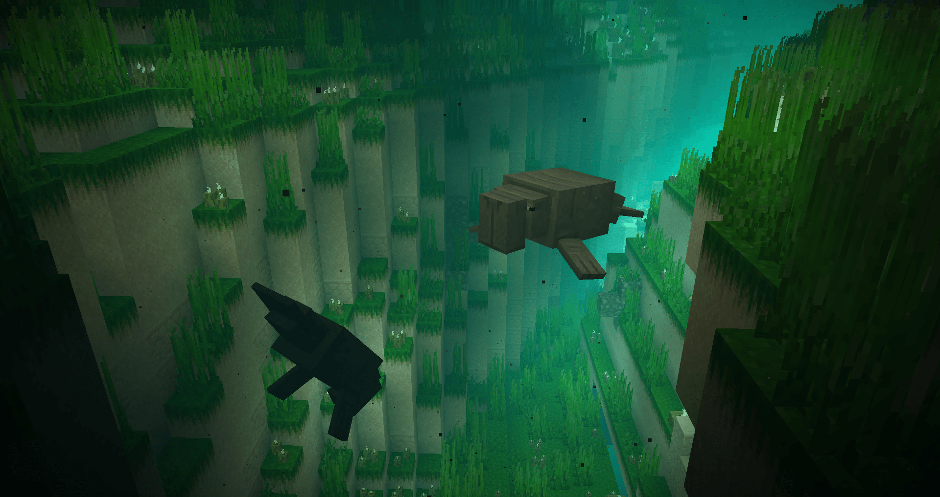 Морские коровы Морские коровы