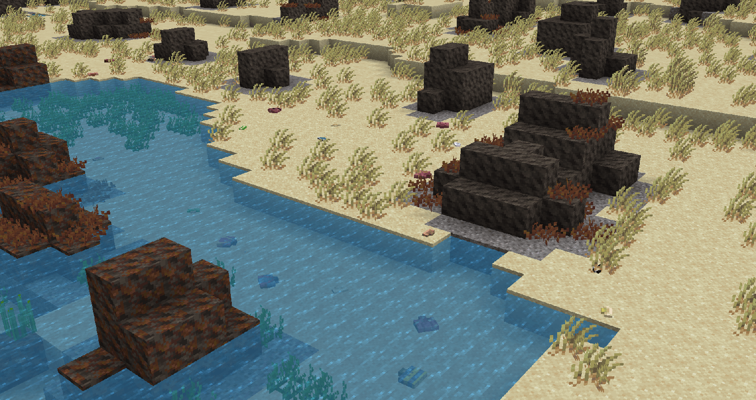 Скалистый берег и моллюски Скалистый берег и моллюски