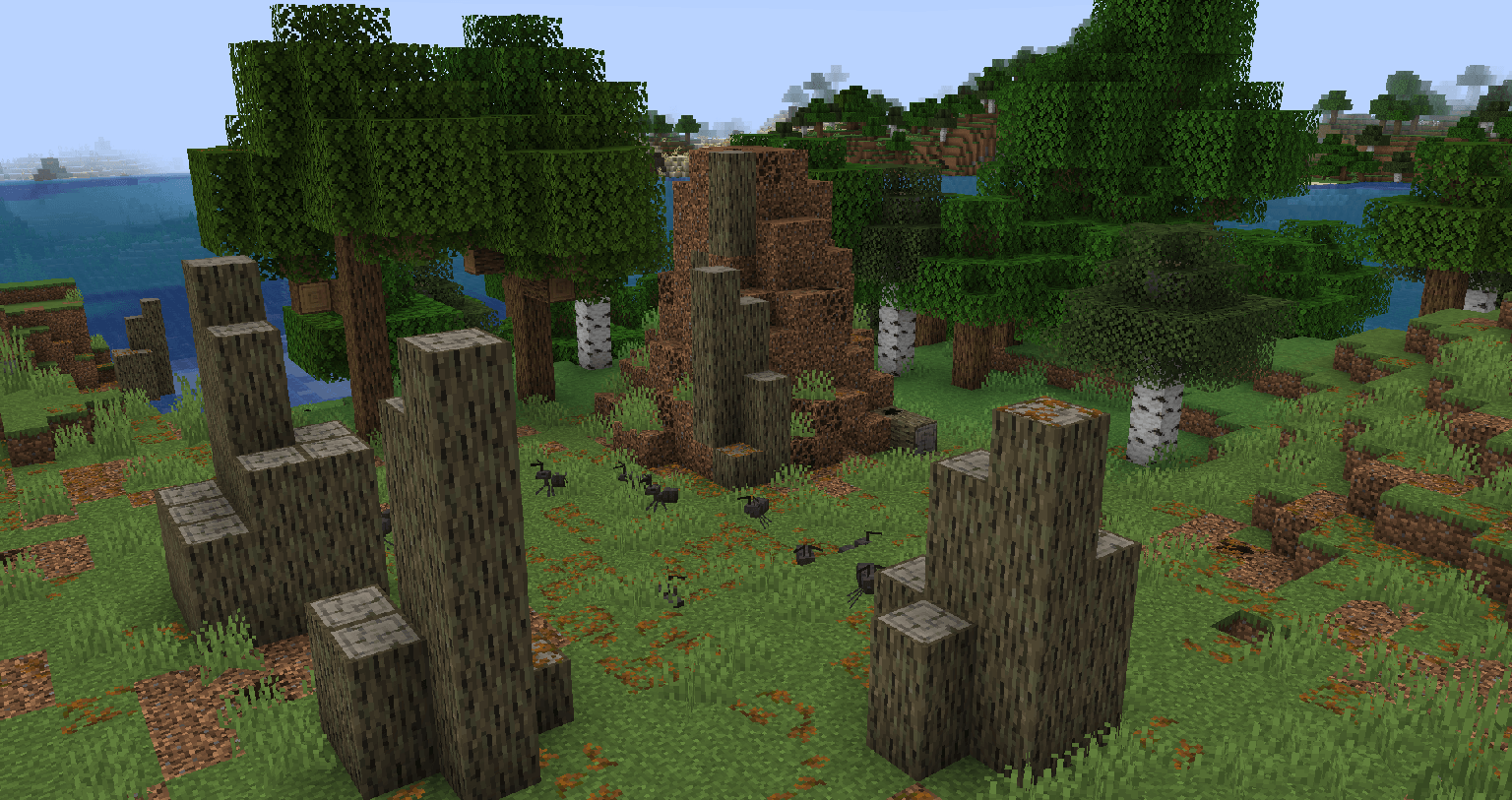 Муравьиные сады и муравьи Муравьиные сады и муравьи