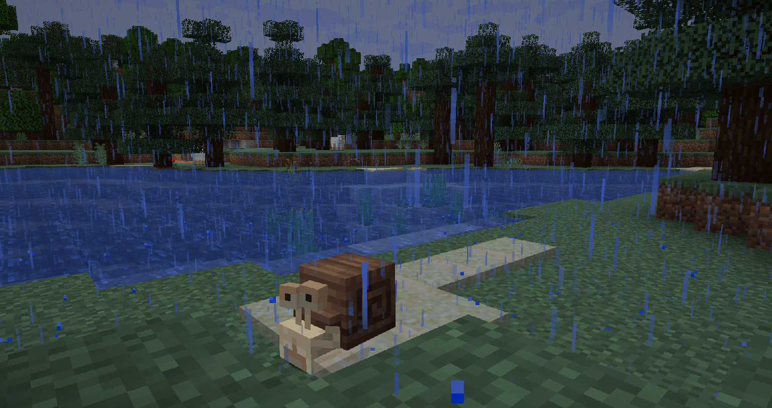 Улитка Улитка