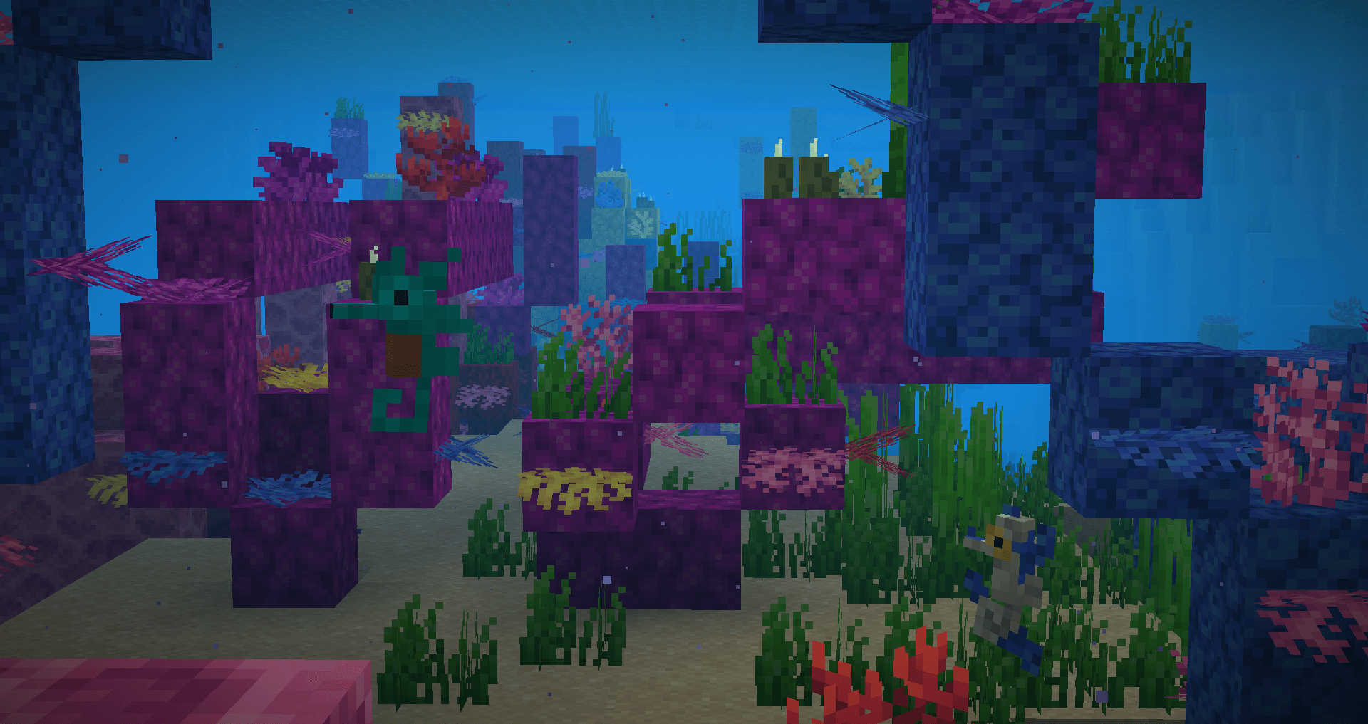 Морской конек Морской конек