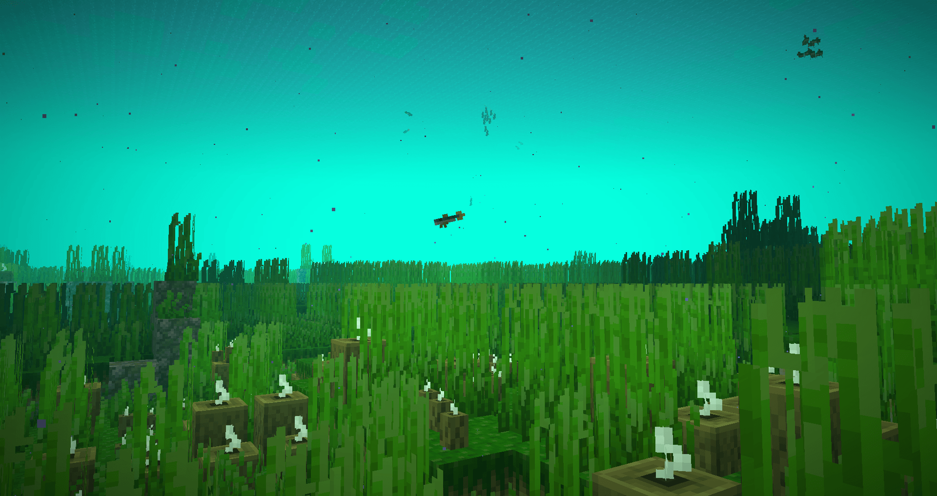 Заросли морских трав и сельдь Заросли морских трав и сельдь