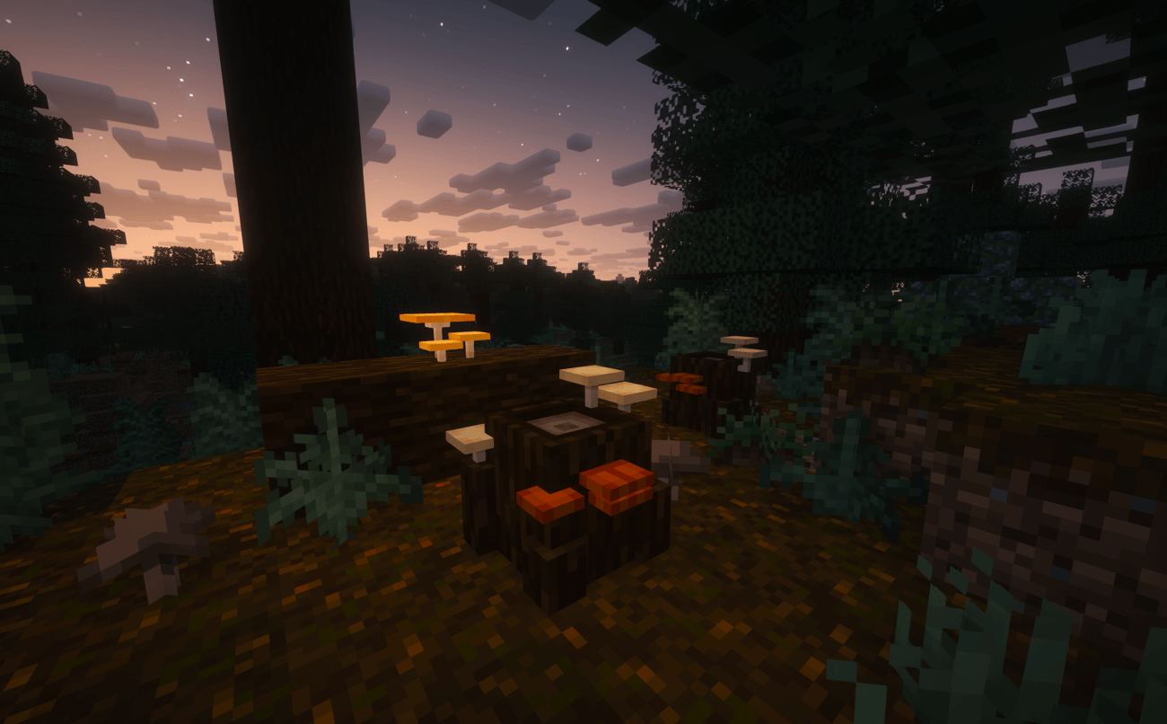 Еловый лес вечером с пнями, покрытыми грибами, и тыквоголовым грибом на поваленном бревне. Еловый лес вечером с пнями, покрытыми грибами, и тыквоголовым грибом на поваленном бревне.