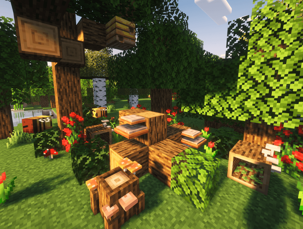 Заросший участок дубового леса, сияющий в утреннем свете! Заросший участок дубового леса, сияющий в утреннем свете!