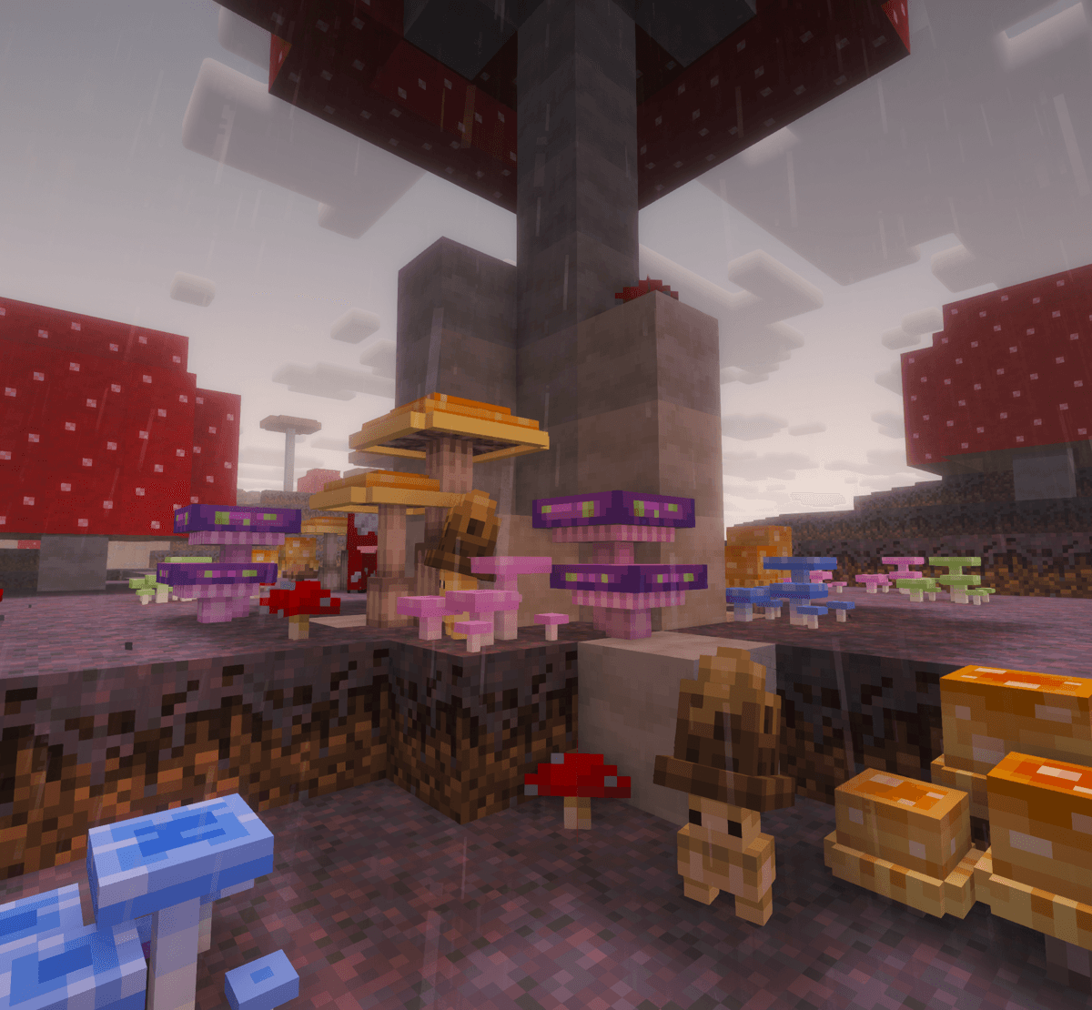 Дождливый день на Грибном острове, но новая флора и фауна, похоже, наслаждаются им! Дождливый день на Грибном острове, но новая флора и фауна, похоже, наслаждаются им!