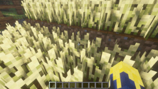 Сбор пшеницы Сбор пшеницы