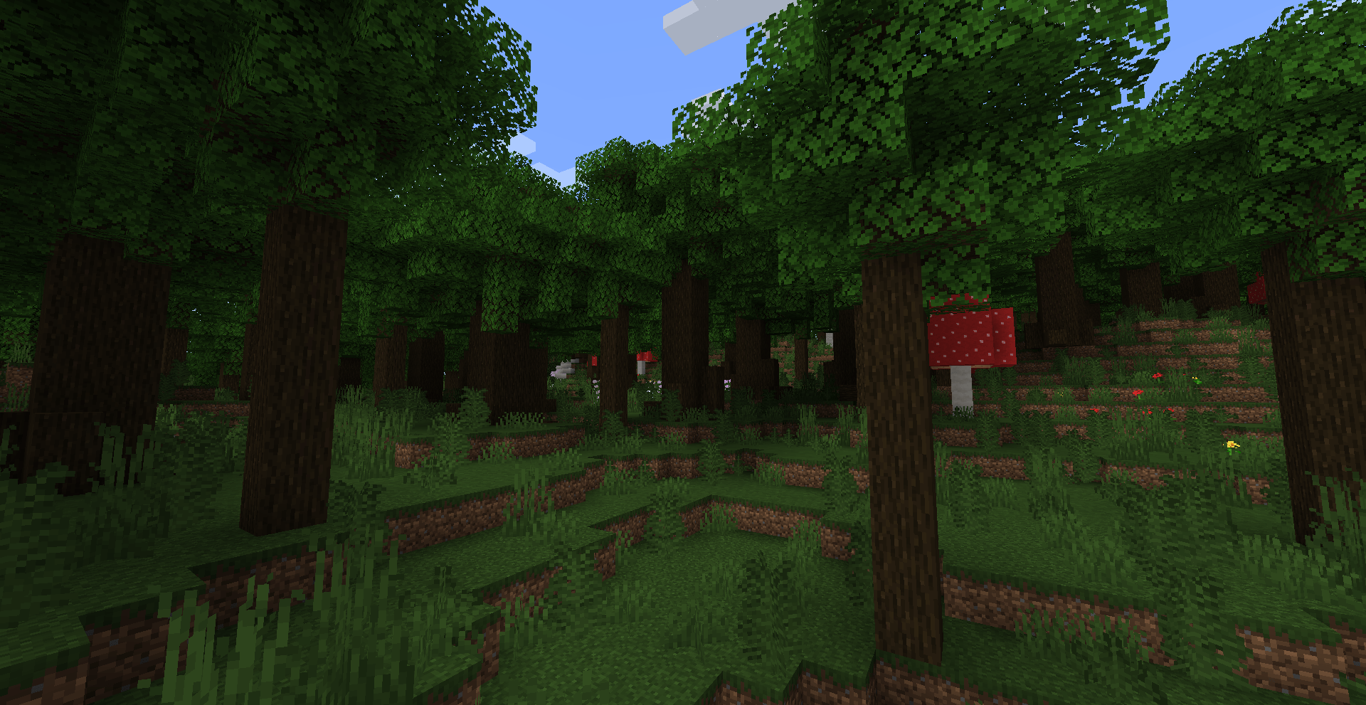 Темный лес Темный лес