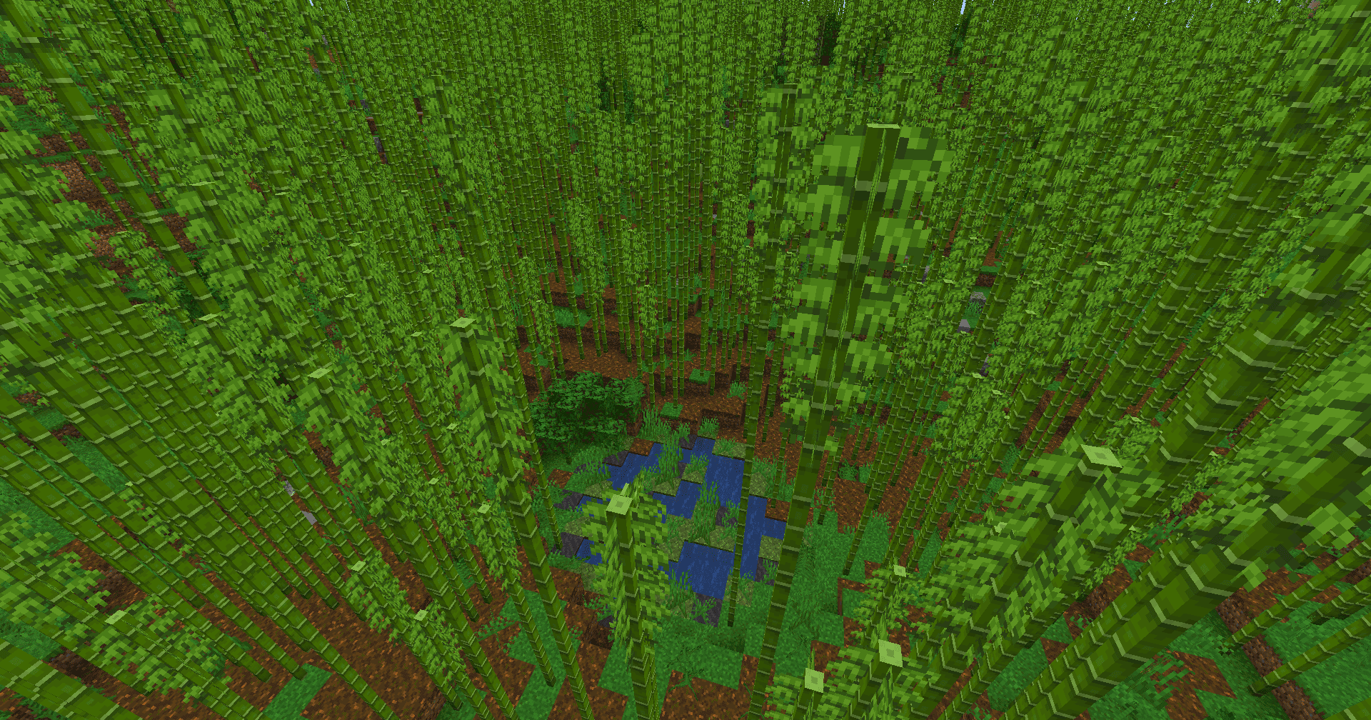 Бамбуковые джунгли Бамбуковые джунгли