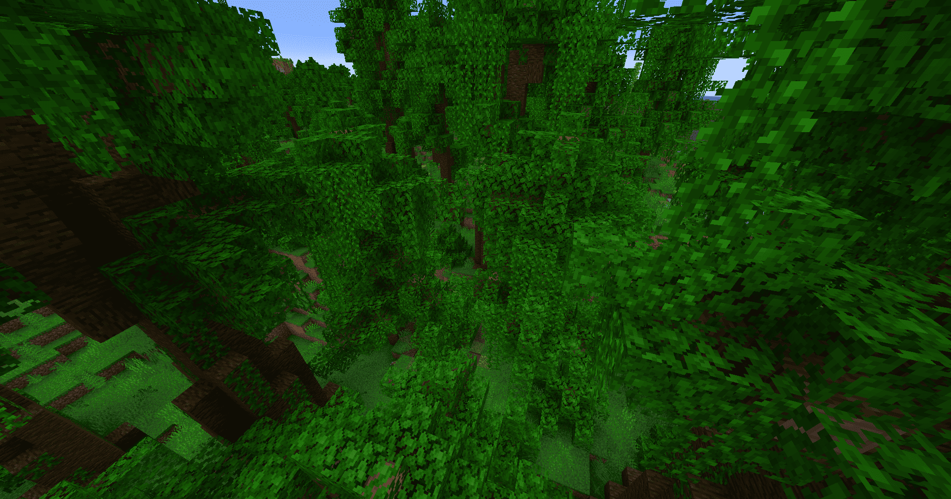 Джунгли Джунгли