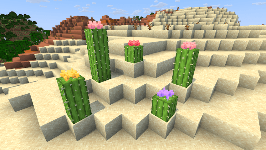 cactus_flowers.png cactus_flowers.png
