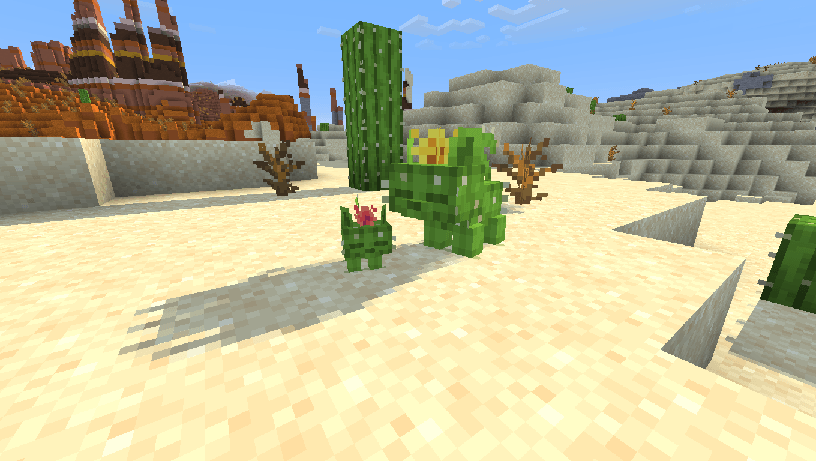 Кактус Кактус